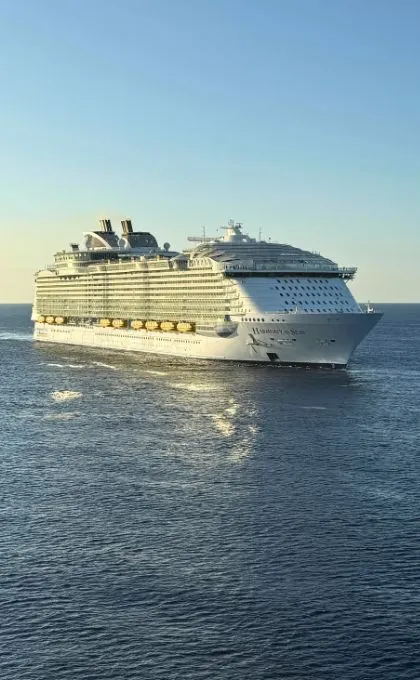 Kreuzfahrtschiffe und die Umwelt