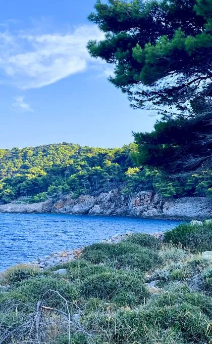 Raue Felsen und grüne Wälder treffen an einer Bucht in Kroatien auf das blaue Wasser des Meeres.
