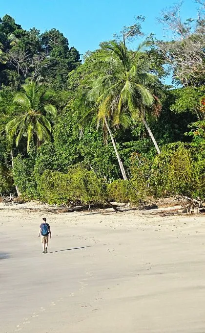 Tourist läuft über einen hellen Sandstrand mit tropischem Dschungel im Hintergrund.
