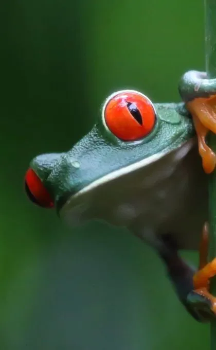 Costa Rica Nationalparks 