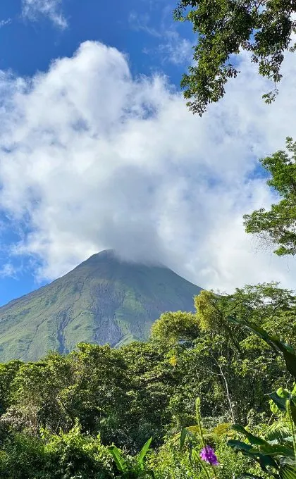 Vulkan Arenal thront hinter grüner Vegetation in Costa Rica.