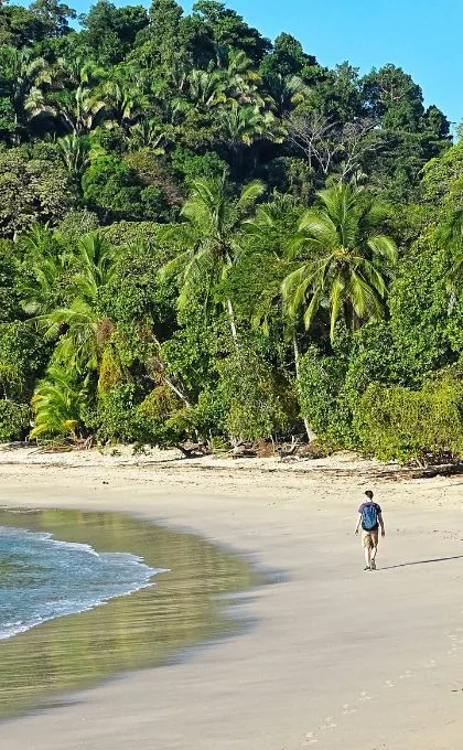 Reisender läuft über einen weißen Sandstrand direkt neben dem Dschungel in Costa Rica. 
