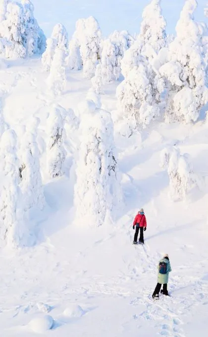 Zwei Personen gehen durch die verschneite Landschaft mit zahlreichen schneebedeckten Bäumen.