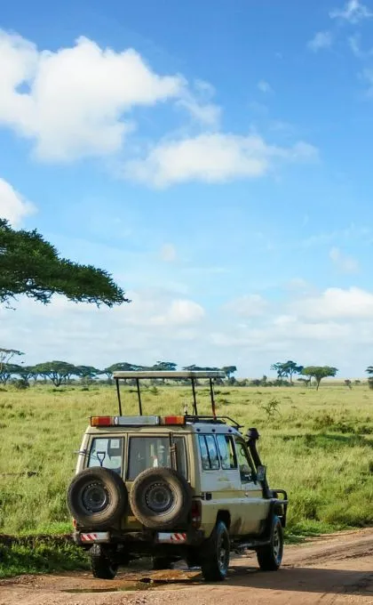 Safari-Jeep fährt durch die Savanne Afrikas.