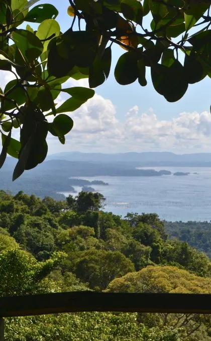 Aussicht auf den Dschungel und das angrenzende Meer in Suriname.
