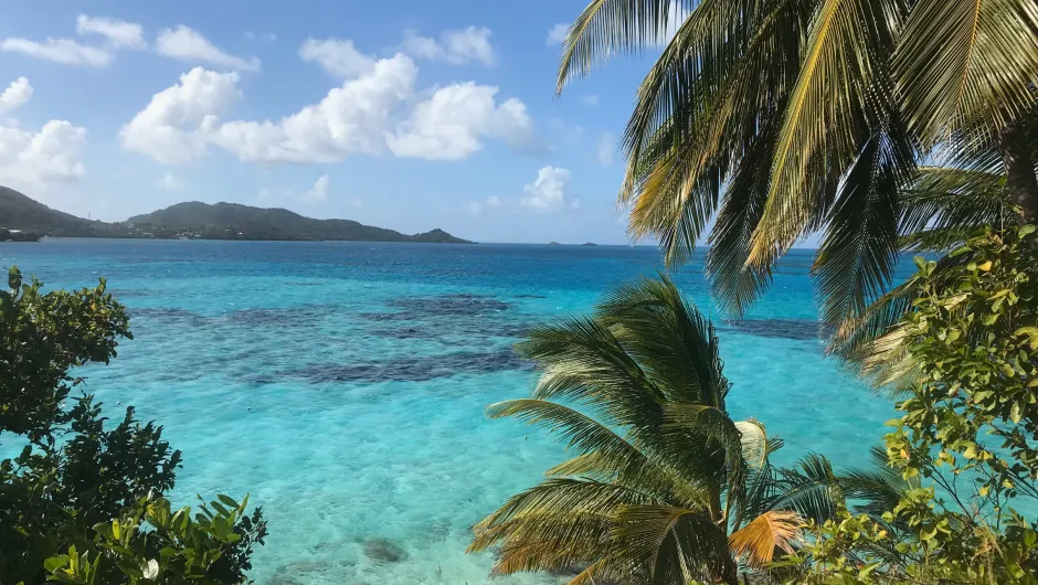 Palmen und blaues Meer an den Kolumbien Strände