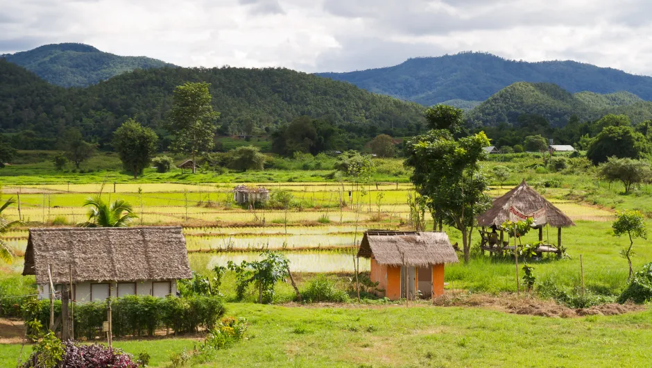 Blick auf die Reisfelder von Mae Hong Son