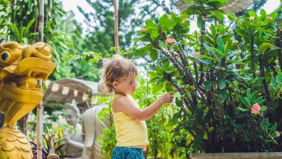 Vietnam mit Kindern: Top für eine Familienreise