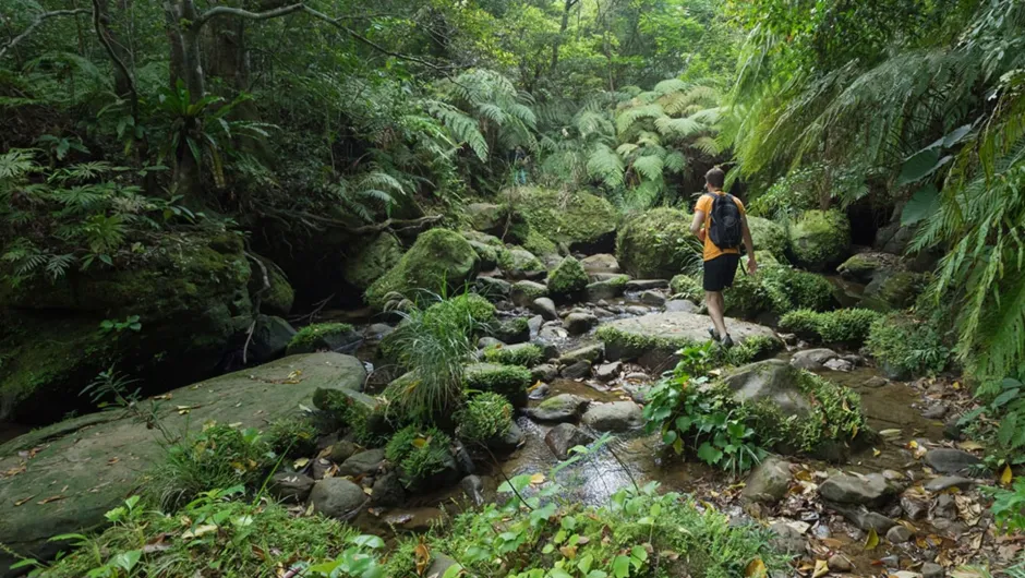 Costa Rica mit Kindern