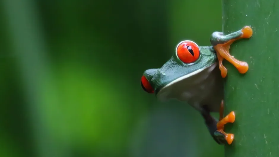 Costa Rica Nationalparks