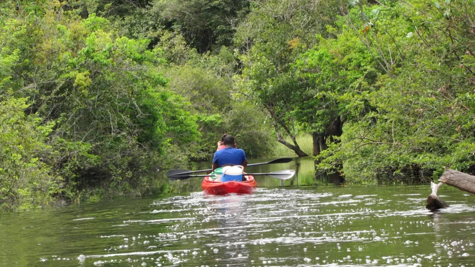 Kayak fahren in Suriname