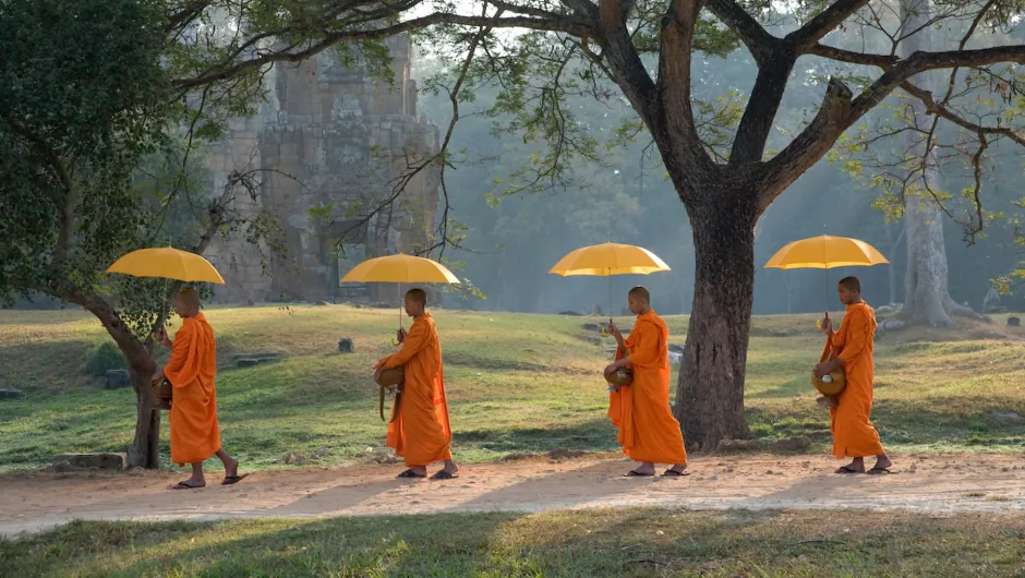 Vier Mönche laufen entlang eines Weges - erkunden Sie Kambodscha auf einer individuellen Rundreise