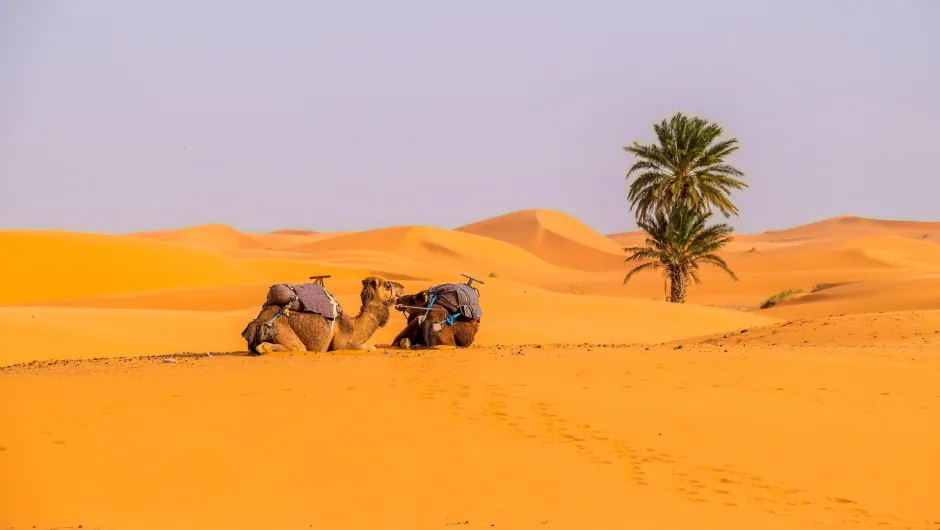 Marokko Mietwagenreise