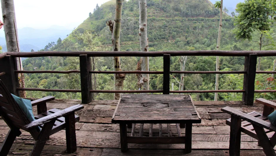 Von einer Veranda können Reisende auf die Teeplantagen in Sri Lanka schauen