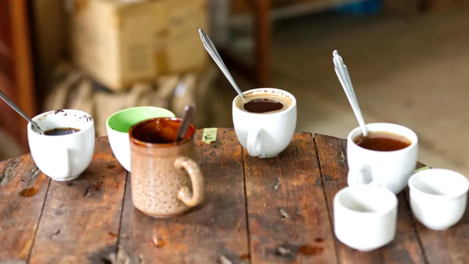 Die Kaffeeplantage in Panama besuchen