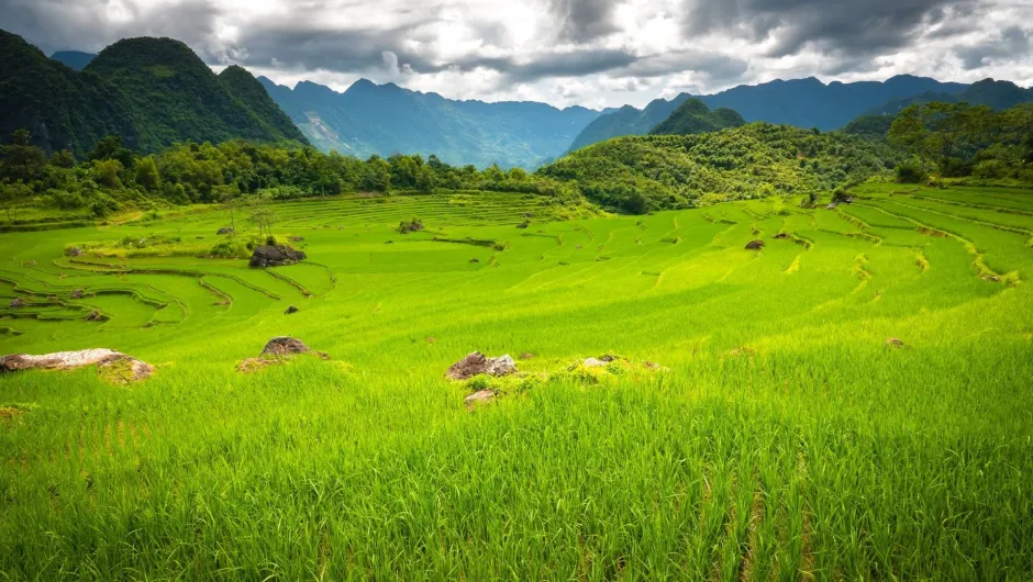 Mai Chau Ecolodge