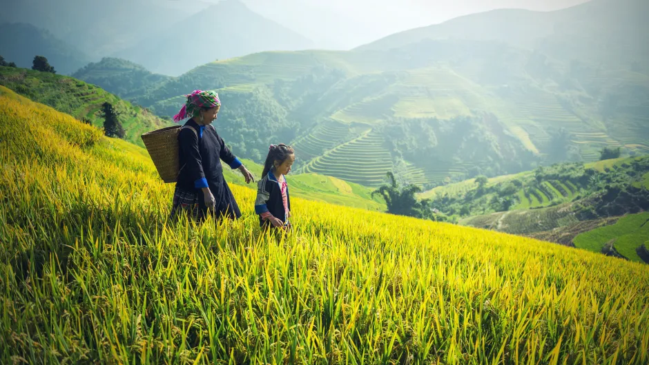 Eine Frau mit einem Kind auf einem Reisfeld in Myanmar – lernen Sie Myanmar auf Reisen alternativ kennen