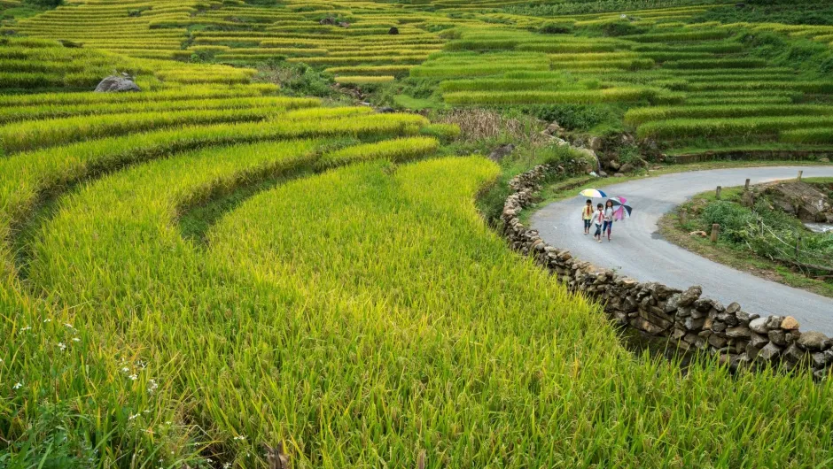 Vietnam mit Kindern