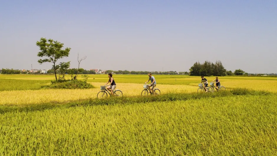 Durch weite Felder mit dem Fahrrad reisen