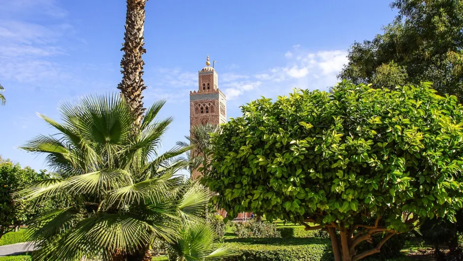 Marrakesch Sehenswürdigkeiten: Alte Gebäude und grüne Palmen