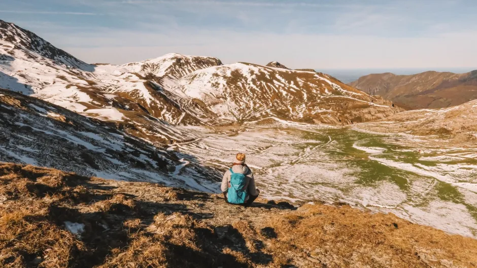 Ronca Tal Navarra