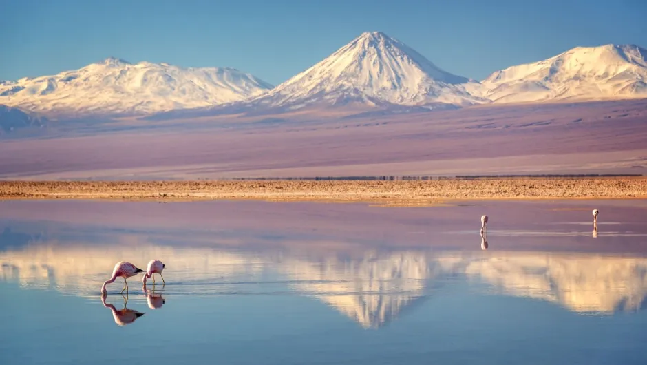 Atacama Wüste