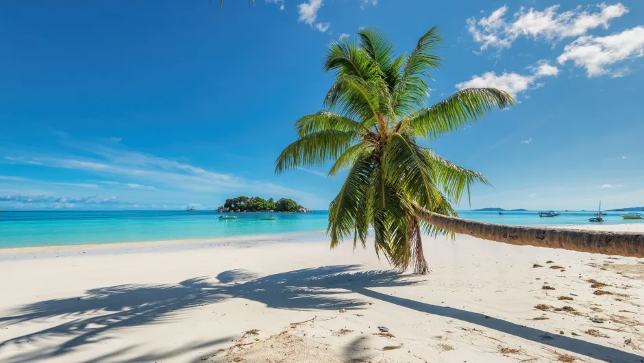 Ein Strand den Reisende während des Jamaika Urlaubs besuchen können