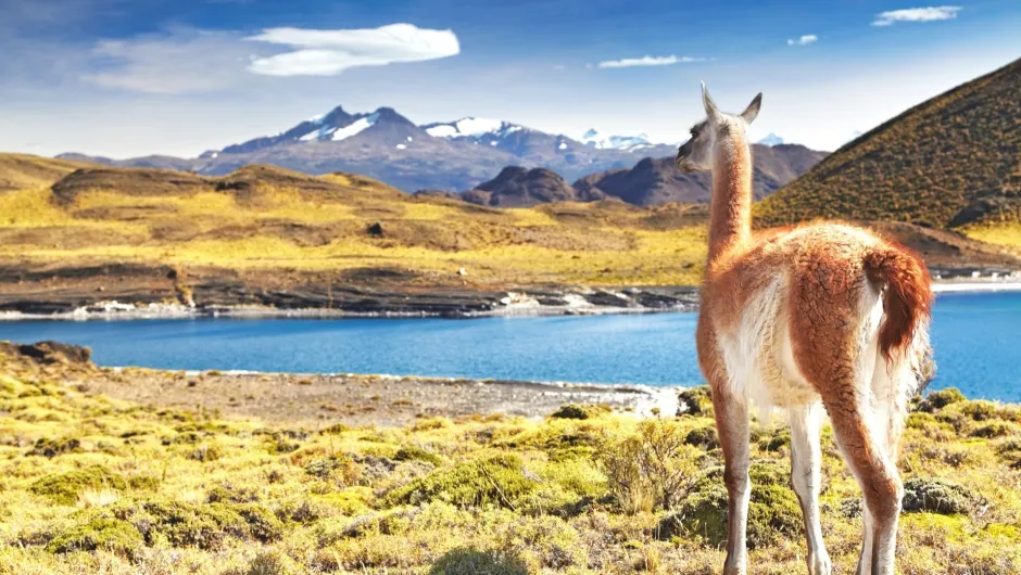 Patagonien Reise