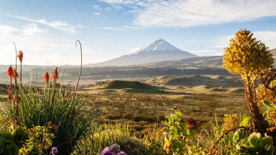 Ecuador Rundreise