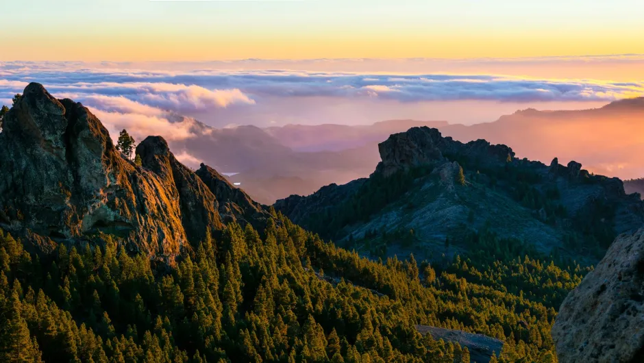 Teneriffa Gran Canaria Rundreise