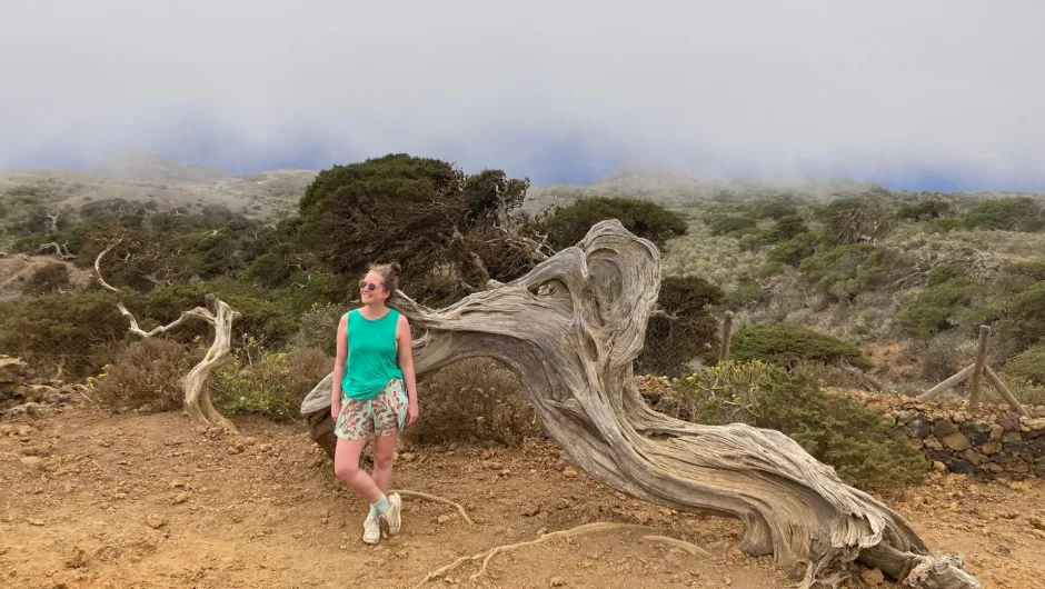 Urlaub El Hierro