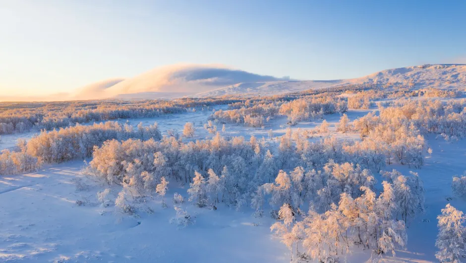 Bewundere die Winterlandschaft Schwedens