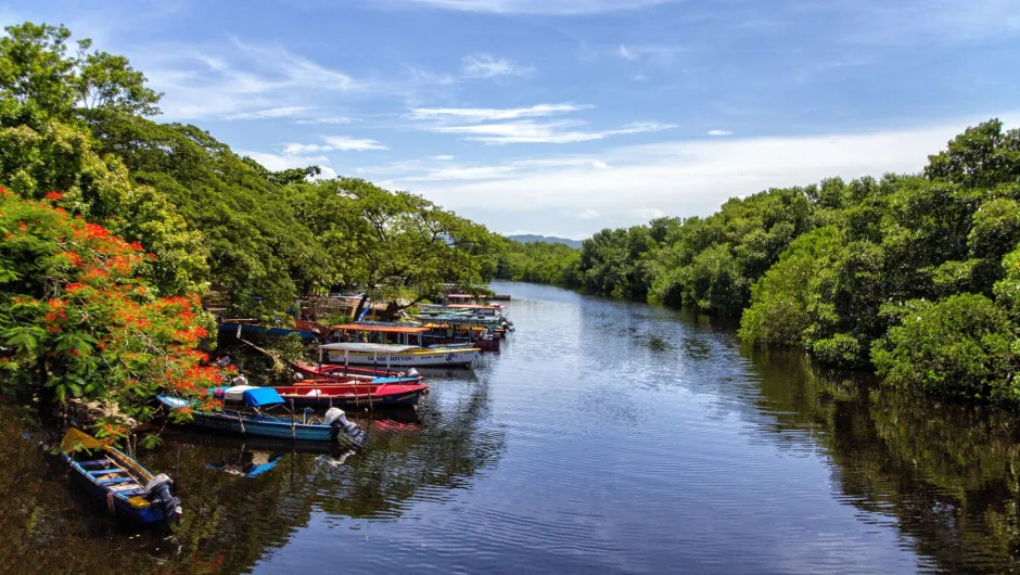 Entspanne auf deiner Jamaika Rundreise auf einem Fluss