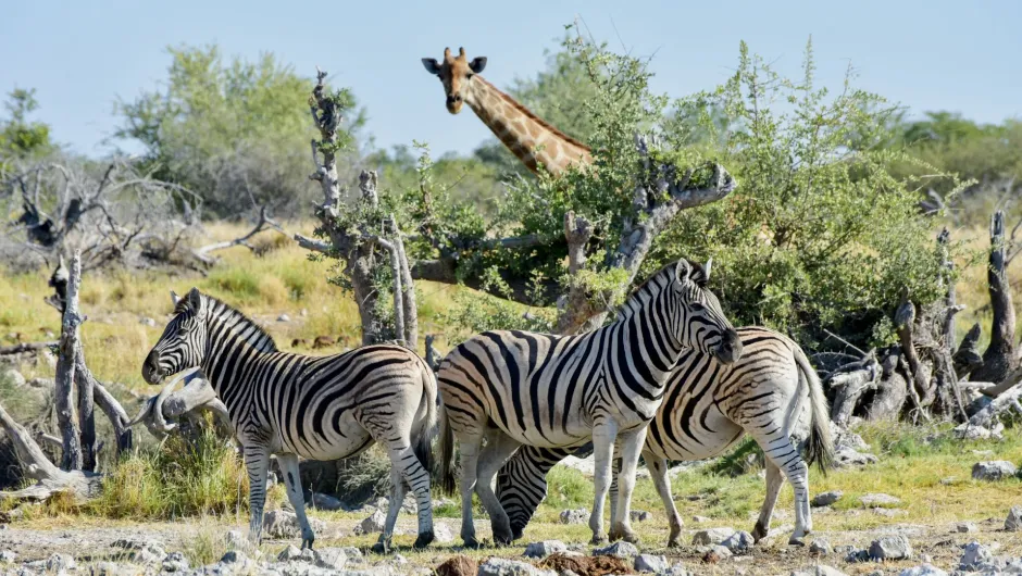 Namibia Sehenswürdigkeiten