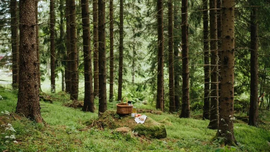 Entdecke Gränna auf deiner Südschweden Rundreise