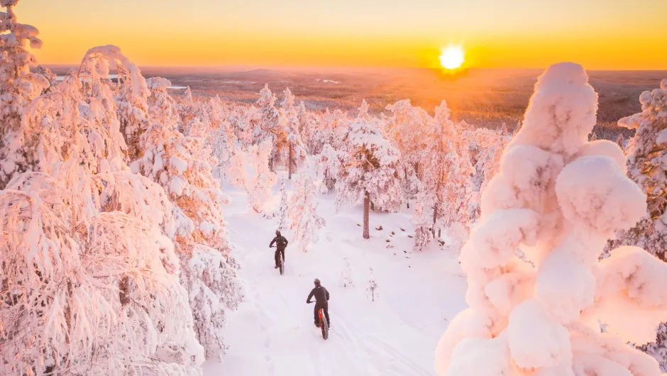 Entdecke die wunderbaren Landschaften auf deiner Lappland Winterreise
