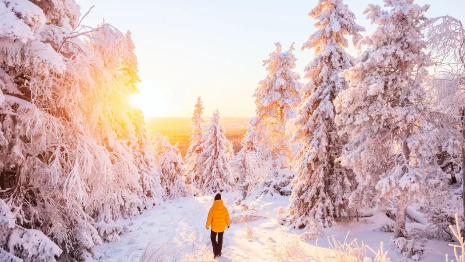 Finnland erleben mit Joseann