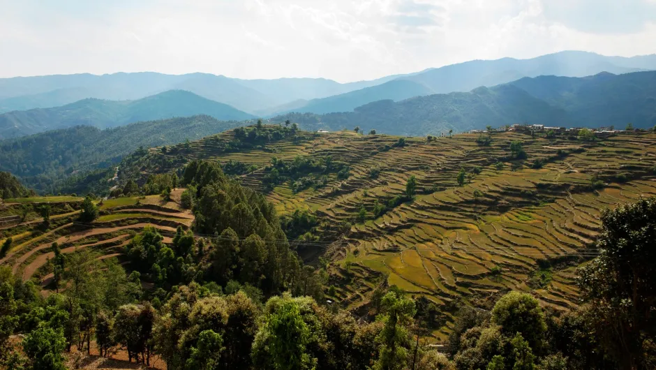 Entdecke das wunderschöne Indien auf deiner Indien Himalaya Reise