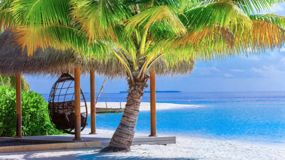 Entdecke die wunderschönen Malediven auf deiner Sri Lanka Malediven Kombireise