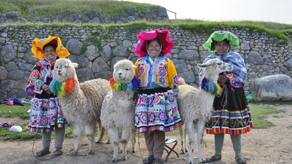 Entdecke Lamas auf deiner Nordperu Reise