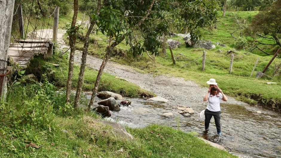 Entdecke das Valle de Cocora auf deiner Familienreise Kolumbien