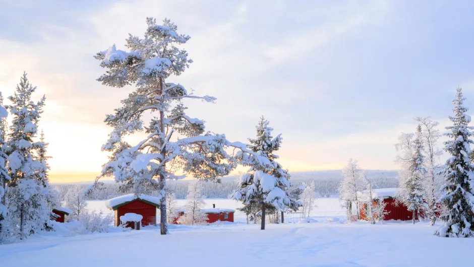 Jetzt deine individuelle Winterreise mit lokalen Experten planen