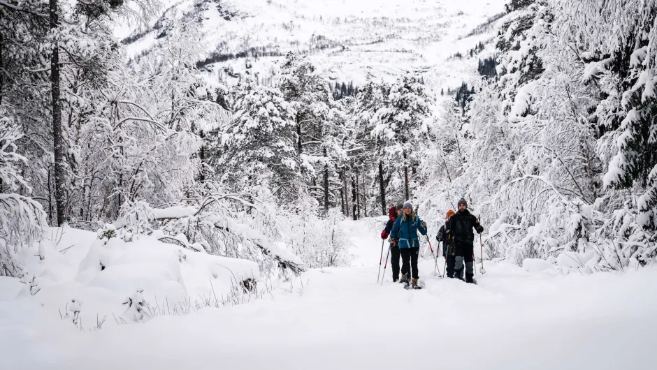 Winterurlaub Norwegen