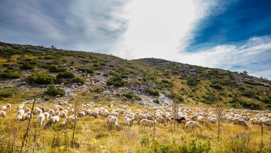 Nordmazedonien Familienrundreise Mavrovo.