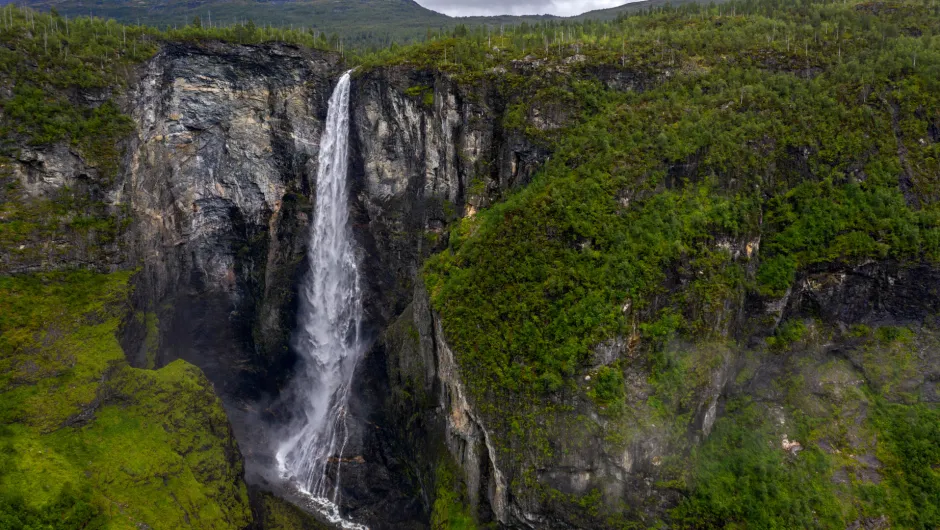 Wissenswertes über Norwegen.