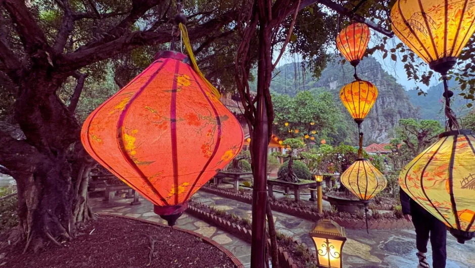 Vietnam ein schöner Anblick durch einen Baum an dem Lampions hängen.