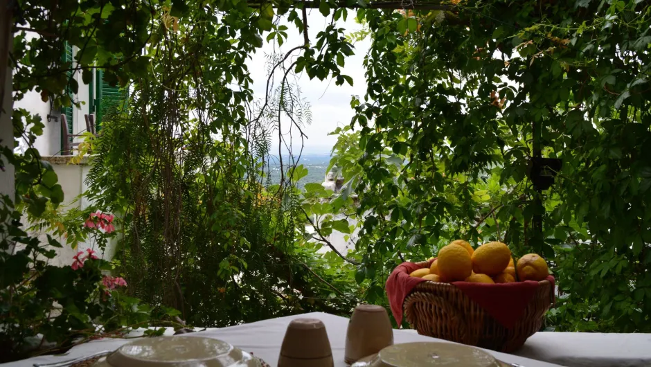 Terrasse mit Obst in Italien.