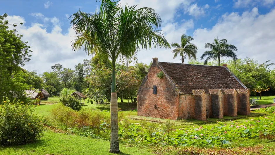 Individuelle Suriname Reise, Palmenbaum und Haus.