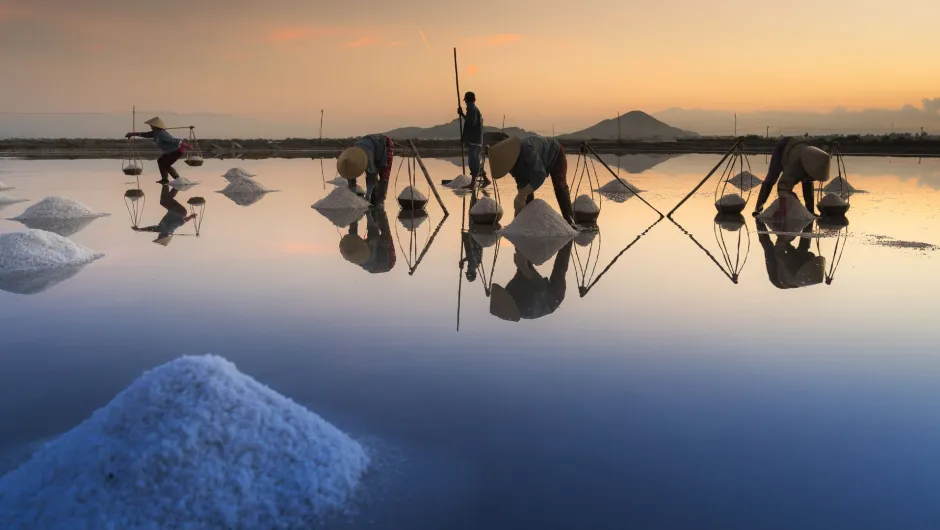 Beste Reisezeit Vietnam: Arbeiter bei Reisfeldern in Vietnam.