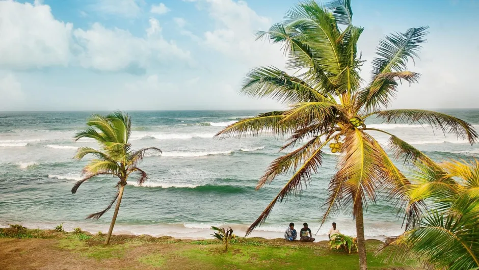 Strand mit Palmen wo drei Menschen auch sitzen in Sri Lanka